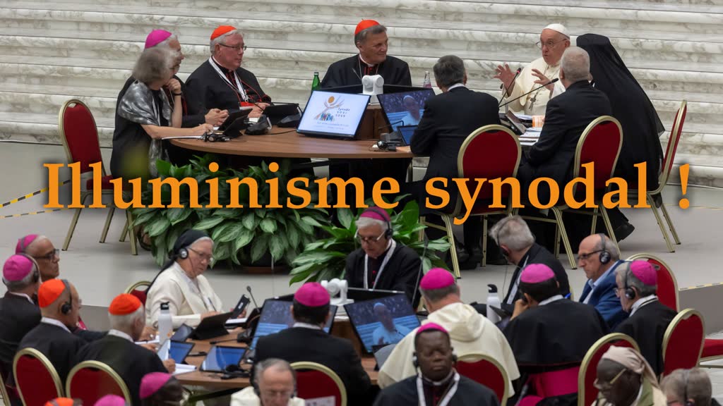 Illuminisme synodal !