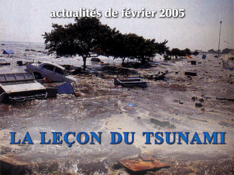 La leçon du Tsunami.