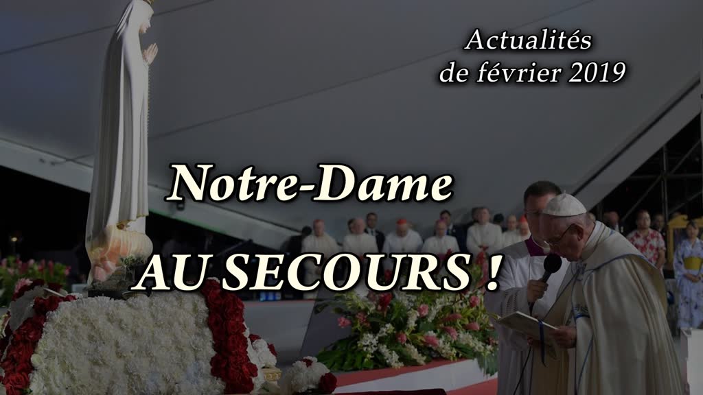 Notre-Dame au secours !