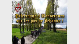 Domrémy, Vaucouleurs, Chinon, Orléans et Reims.