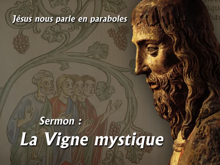 Sermon des vêpres : La Vigne mystique.