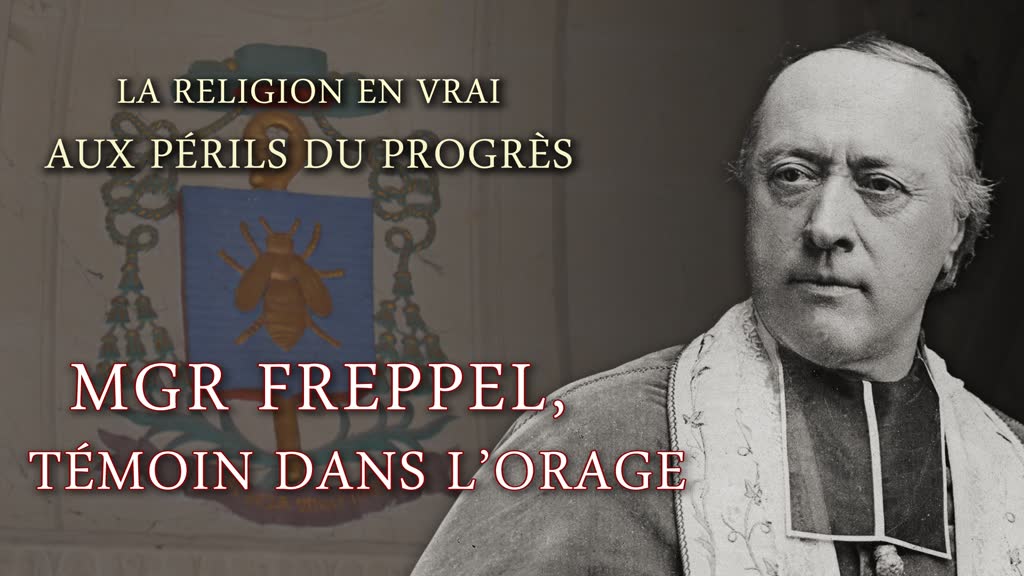 Mgr Freppel, témoin dans l’orage.