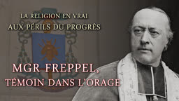 Mgr Freppel, témoin dans l’orage.