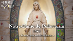 Notre-Dame de Pellevoisin (1876).