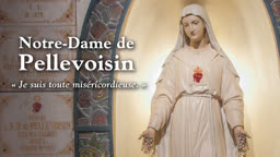 Notre-Dame de Pellevoisin (1876)