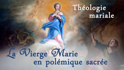 Sermon : La Vierge Marie en polémique sacrée.