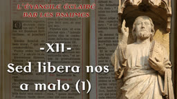 Sed libera nos a malo (I).