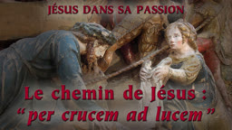 Le chemin de Jésus : “ Per crucem ad lucem  ”.