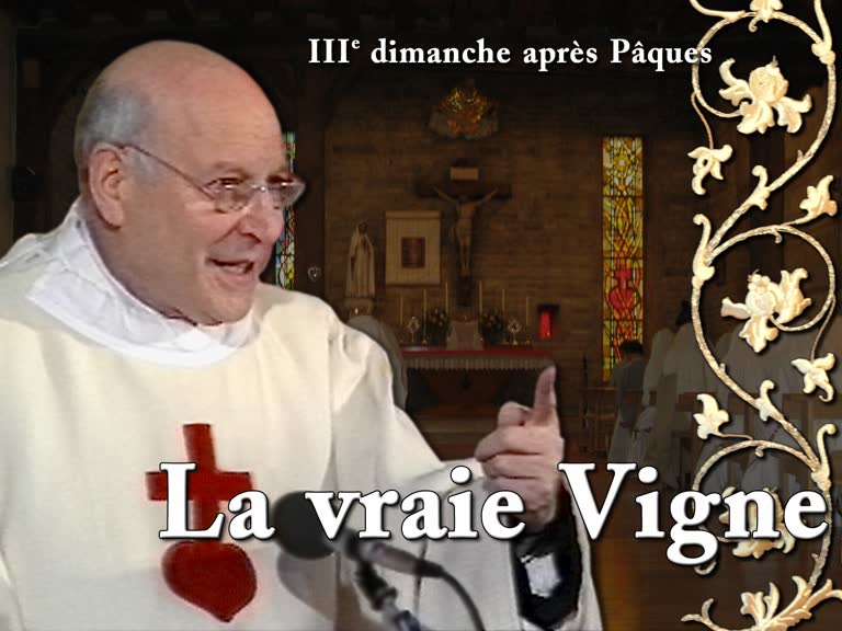 Sermon de la messe : La vraie Vigne.