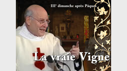 Sermon de la messe : La vraie Vigne.