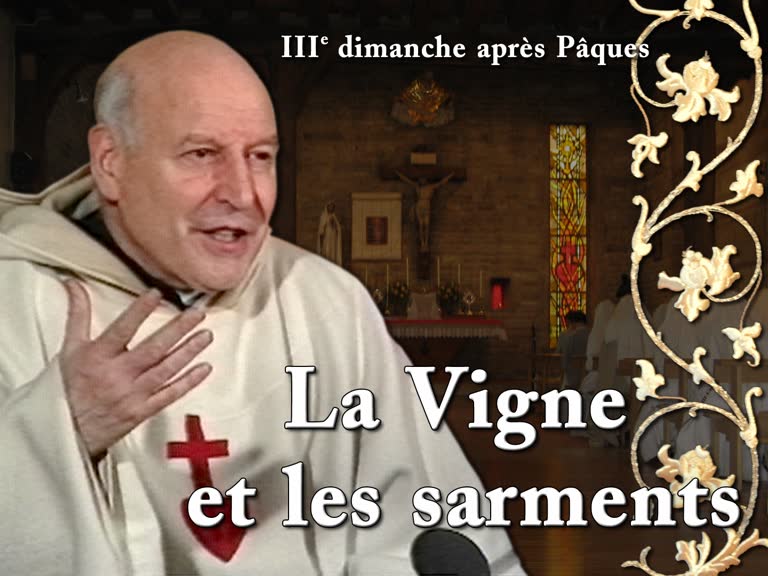 Sermon : La Vigne et les sarments.
