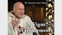 Sermon : La Vigne et les sarments.