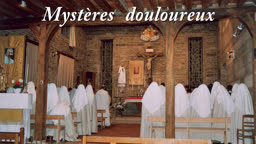 Mystères douloureux.