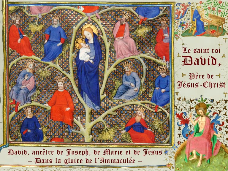 David, ancêtre de Joseph, de Marie et de Jésus.
– Dans la gloire de l’Immaculée –